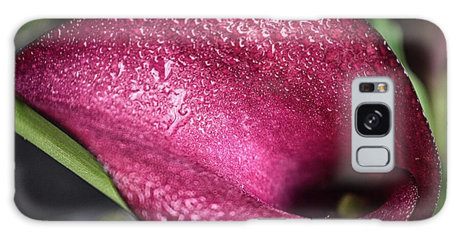 Flower Galaxy Case featuring the photograph Captivating Calla Lily by Portia Olaughlin