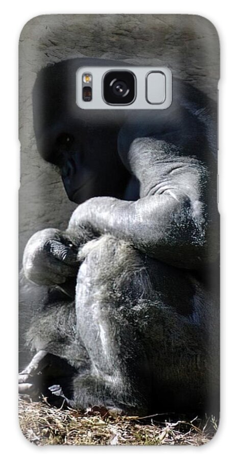 Gorilla Galaxy Case featuring the photograph Captive by DArcy Evans