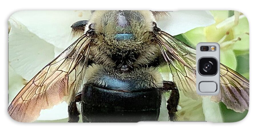 Bee Galaxy Case featuring the photograph Bumble Bee Landing by Catherine Wilson