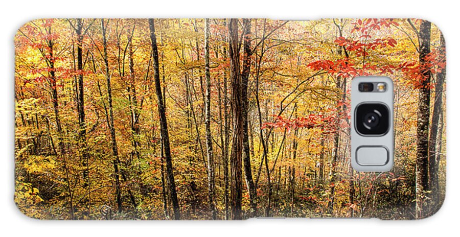 Beech Mountain Galaxy Case featuring the photograph Carolina Color by Phil Marty