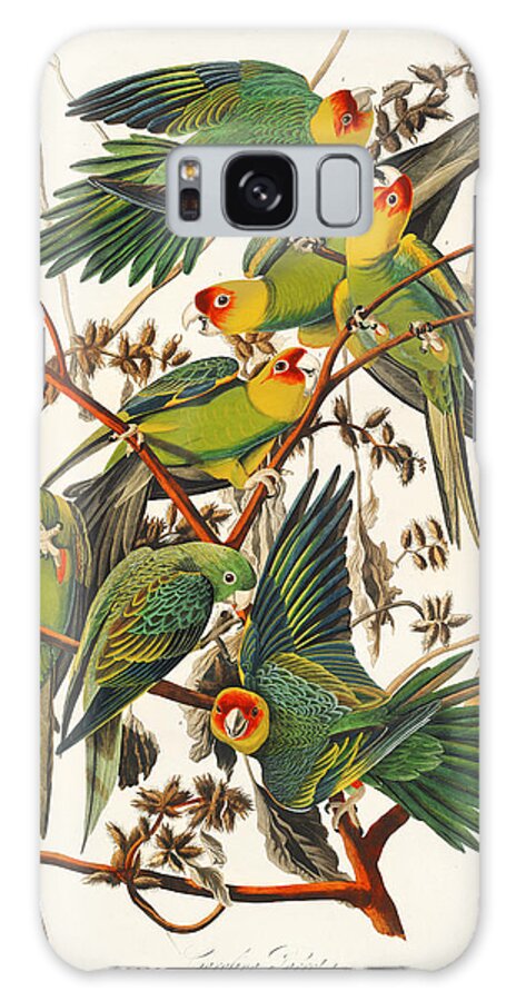 Carolina Parrots Galaxy Case featuring the mixed media Carolina Parrots. John James Audubon by World Art Collective
