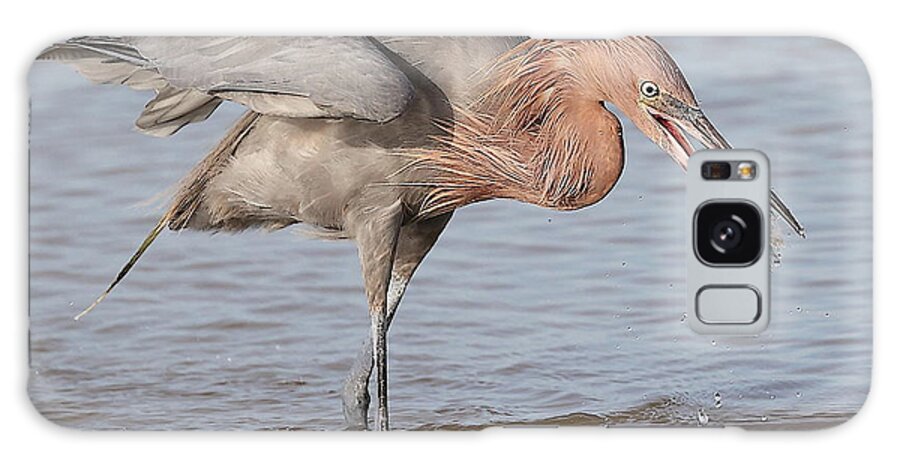 Reddish Egret Galaxy Case featuring the photograph Catch is not Secured Yet by Mingming Jiang