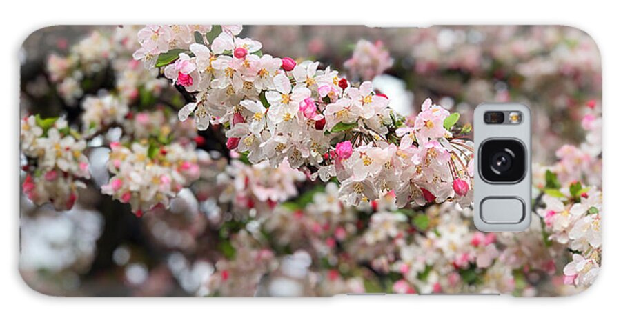 Bloom Cherry Spring Flower Galaxy Case featuring the photograph Cherry 1 by Gerald Carpenter