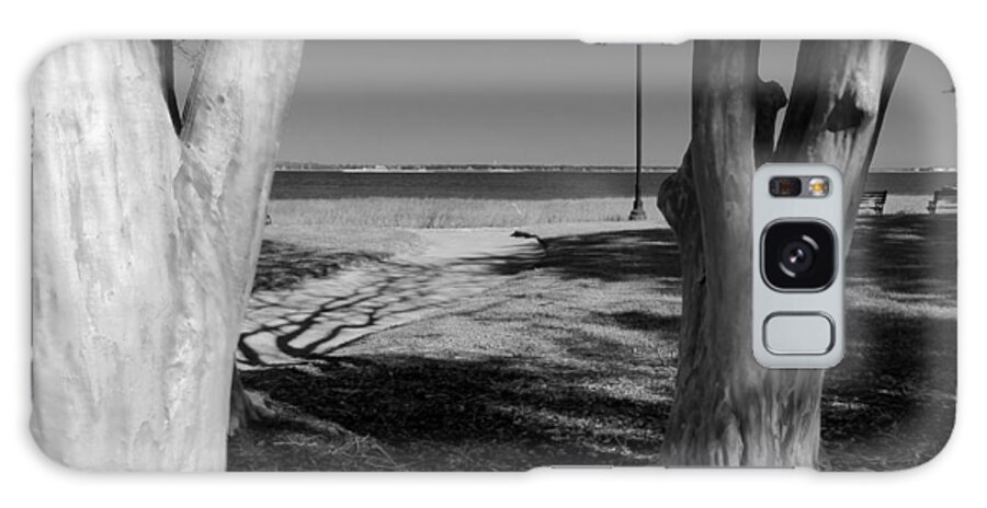 Black And White Trees Galaxy Case featuring the photograph Chiaroscuro In Nature II by Rosanne Licciardi