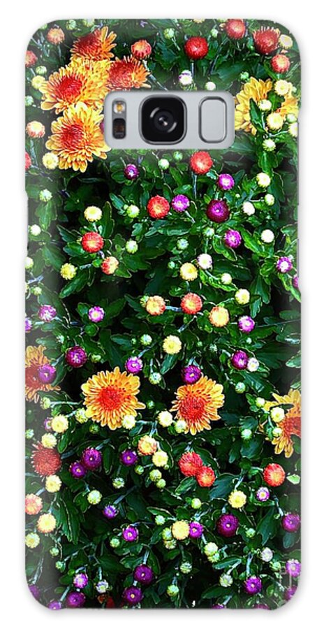 Chrysanthemum Galaxy Case featuring the photograph Chrysanthemum Profusion by J Hale Turner