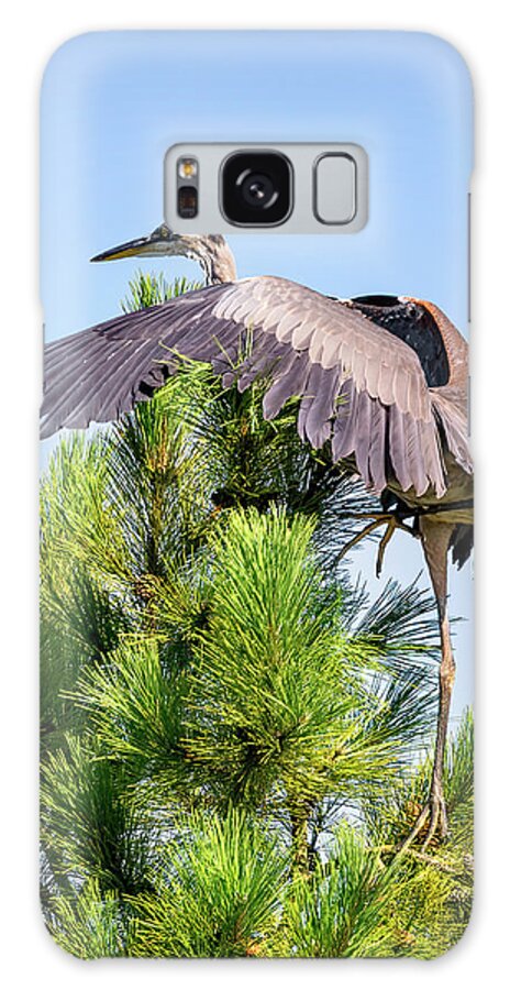 Bird Galaxy Case featuring the photograph Climbing Heron by Al Mueller