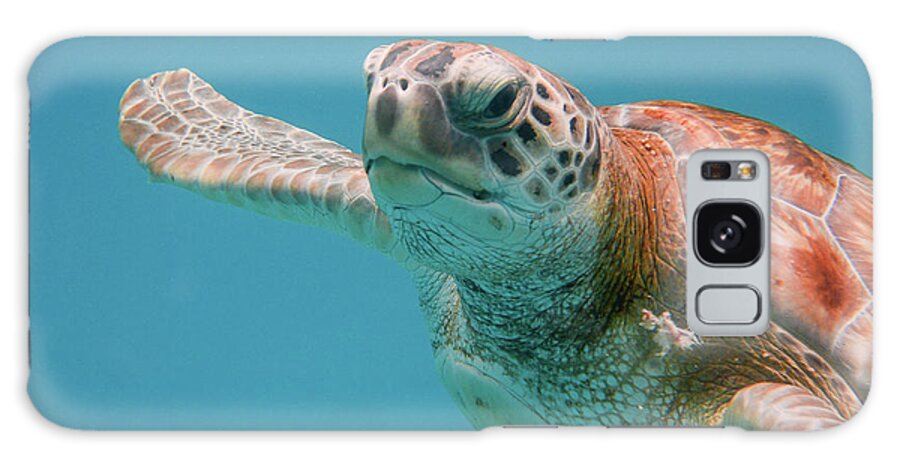 Turtle Galaxy Case featuring the photograph Close Encounter with a Green Turtle by Mark Hunter