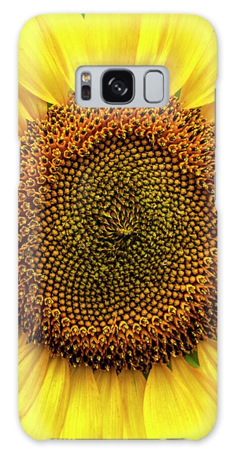 Sunflower Galaxy Case featuring the photograph Close-up Detail of Sunflower by Bob Decker