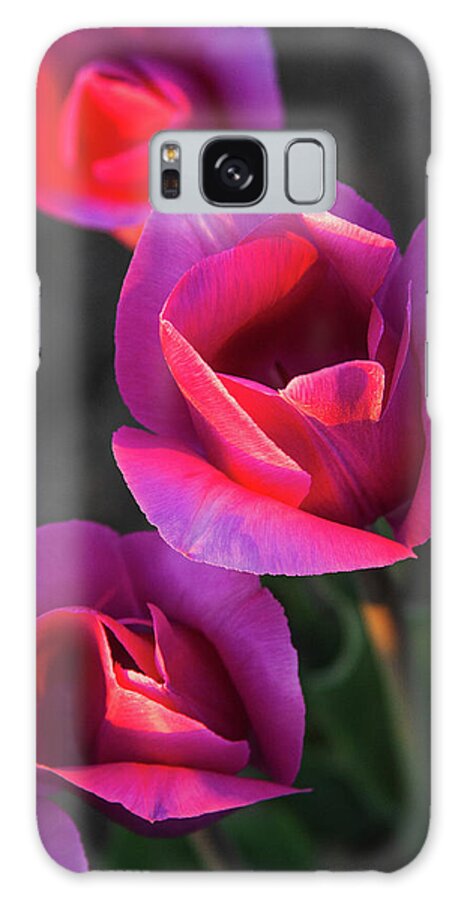Tulips Galaxy Case featuring the photograph Close Up by Michael Rauwolf