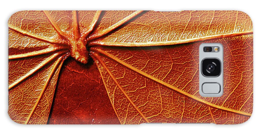 Papyrus Galaxy Case featuring the photograph Close up of the red leaf papyrus by Severija Kirilovaite
