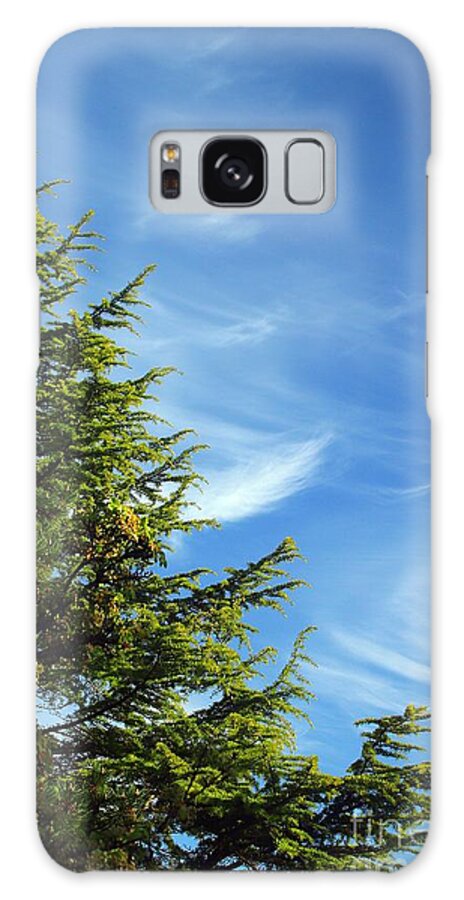 Clouds Galaxy Case featuring the photograph Clouds Imitating Trees by Kimberly Furey