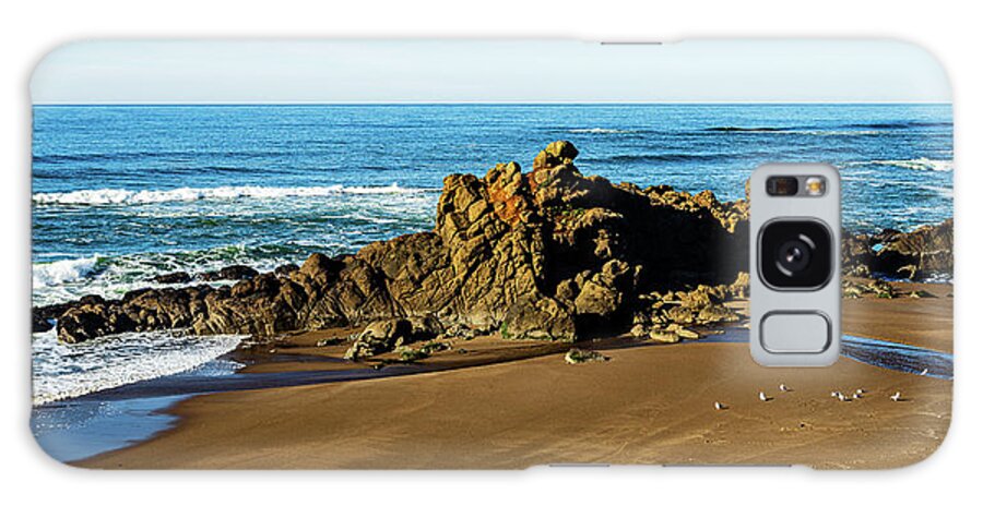 Landscape Galaxy Case featuring the photograph Coast Of Oregon-1 by Claude Dalley