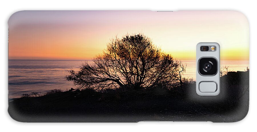 California Galaxy Case featuring the photograph Coastal Tree After Sunset by Matthew DeGrushe