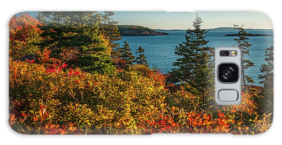 Acadia National Park Galaxy Case featuring the photograph Color Blends by Paul Mangold