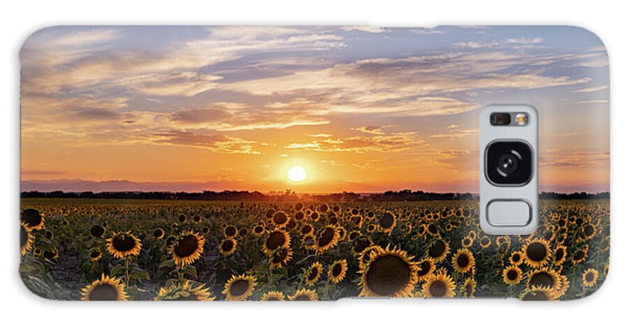 Sunset Galaxy Case featuring the photograph Colorado Sunflower Field at Sunset by Phillip Rubino