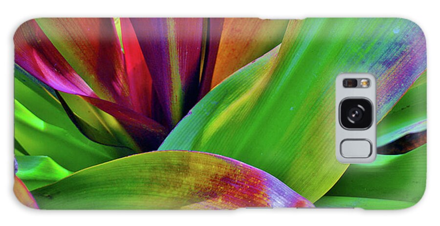 Colour Galaxy Case featuring the photograph Colour Leaf 2 by John Clark
