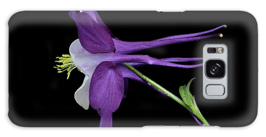 Macro Galaxy Case featuring the photograph Columbine 781 by Julie Powell