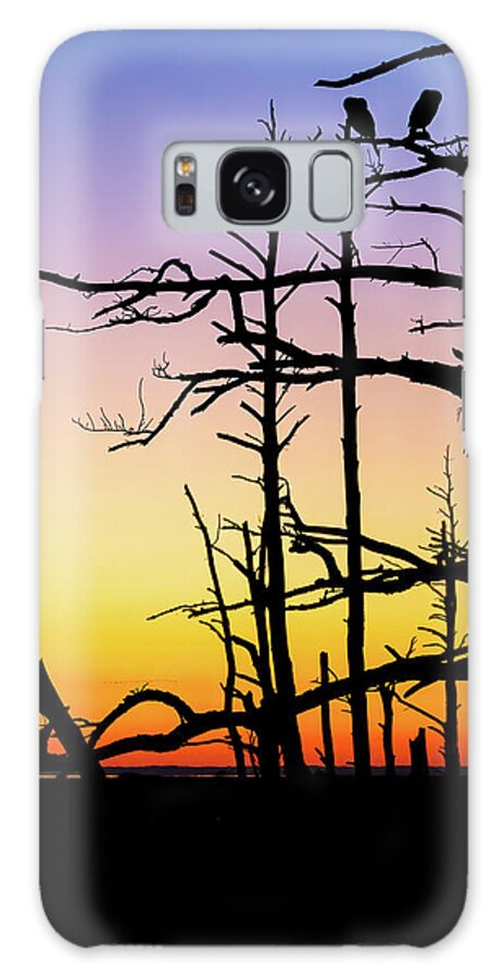 Chincoteague Galaxy Case featuring the photograph Cormorant Sunset by Rachel Morrison