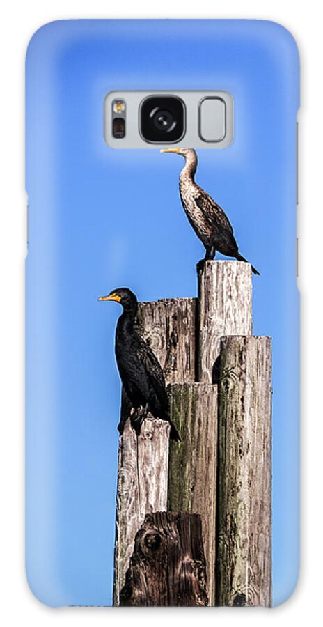 Alabama Galaxy Case featuring the photograph Cormorants on a Piling at Pier by James C Richardson