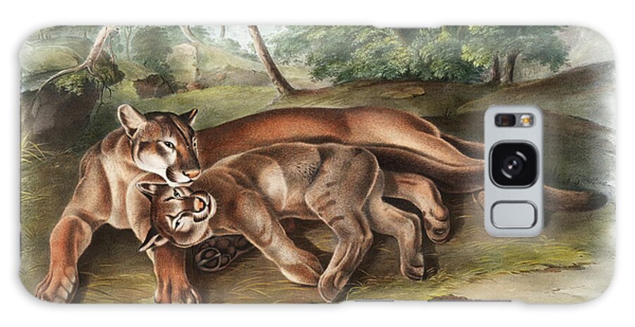 America Galaxy Case featuring the mixed media Cougar, Cougars. John Audubon by World Art Collective