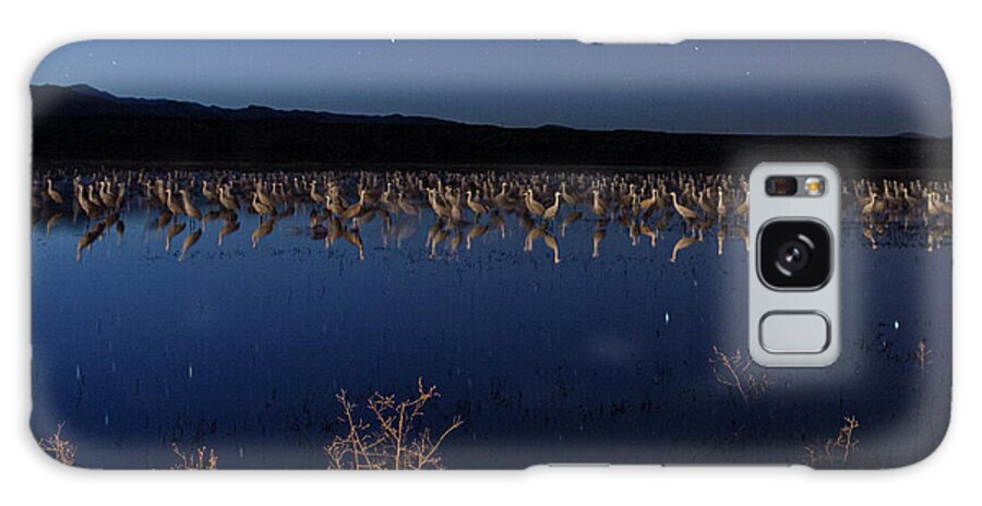 Bosque Del Apache Galaxy Case featuring the photograph Cranes at dusk by Maresa Pryor-Luzier