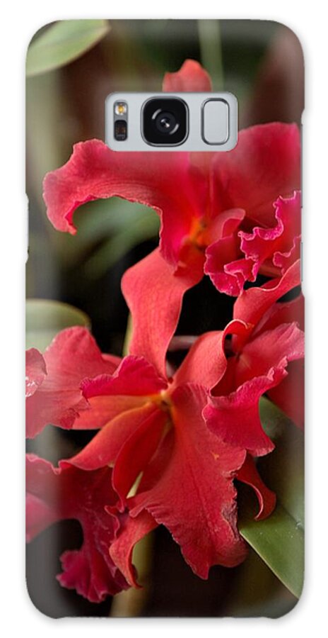 Orchid Galaxy Case featuring the mixed media Crimson Cattleya Orchids by Nancy Ayanna Wyatt