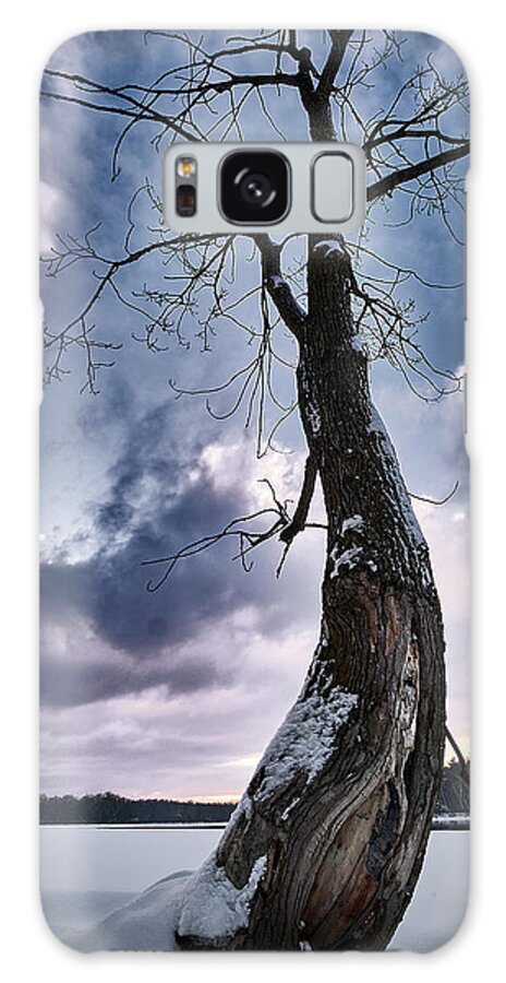 Tree Galaxy Case featuring the photograph The Solo Curb Tree On The River by Carl Marceau