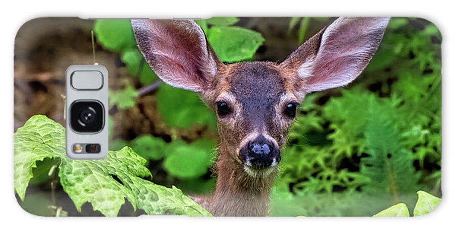 Fawn Galaxy Case featuring the photograph Cute Fawn Deer Browsing the Garden by Kathleen Bishop