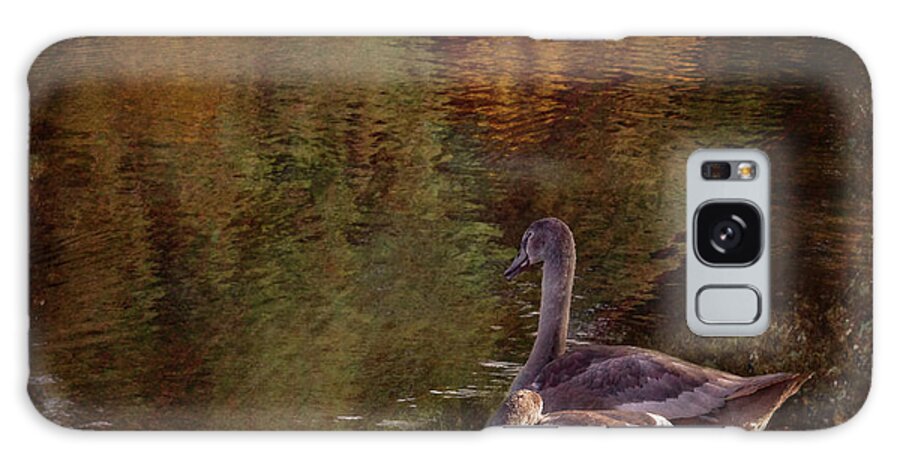 Cygnets Galaxy Case featuring the photograph Cygnets beside the pond by Yvonne Johnstone