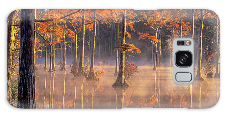 Cypress Pond Galaxy Case featuring the photograph Cypress Pond 04 by Jim Dollar