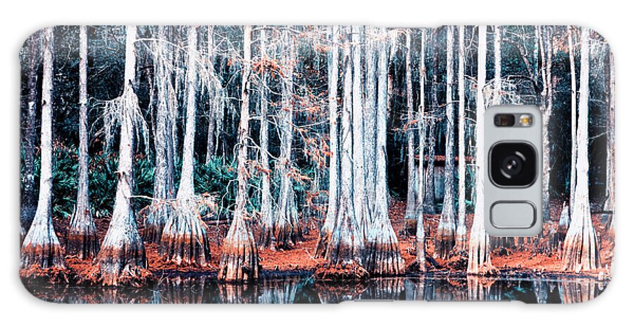Swamp Galaxy Case featuring the photograph Cypress Swamp by Mango Art