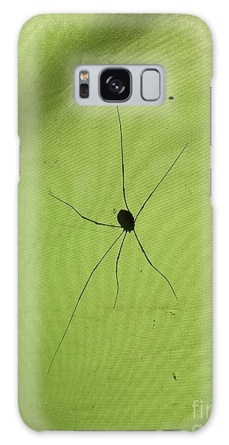 Spider Galaxy Case featuring the photograph Daddy Long Legs by Mary Kobet