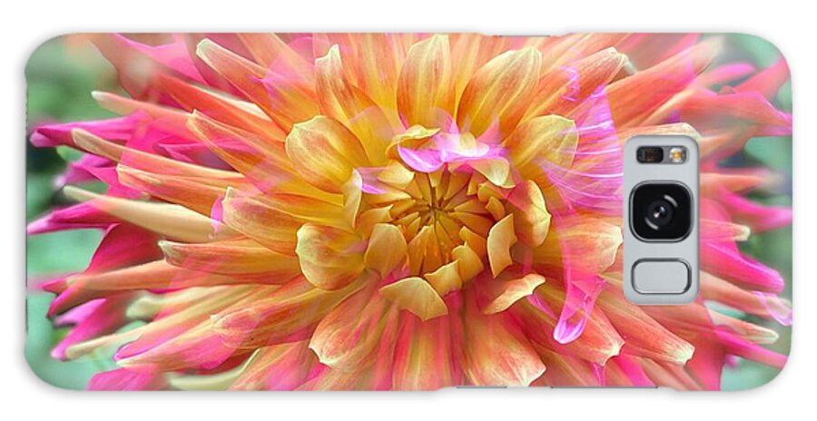 Portrait Galaxy Case featuring the photograph Dahlia 3 by Jerry Abbott