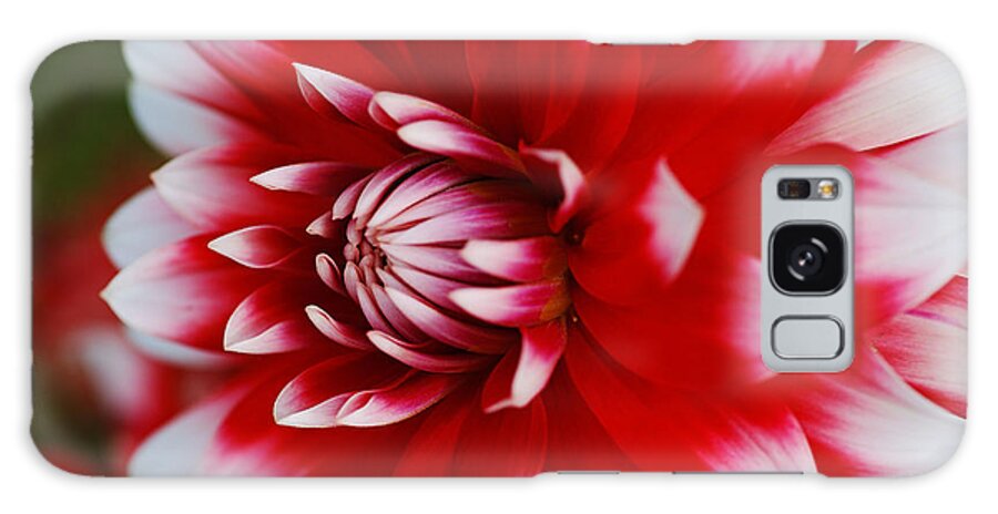 Fire And Ice Galaxy Case featuring the photograph Dahlia Rich Red and White by Joy Watson
