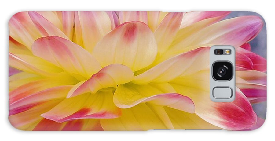 - Dahlia - Yellow And Red Galaxy Case featuring the photograph - Dahlia - Yellow and Red by THERESA Nye