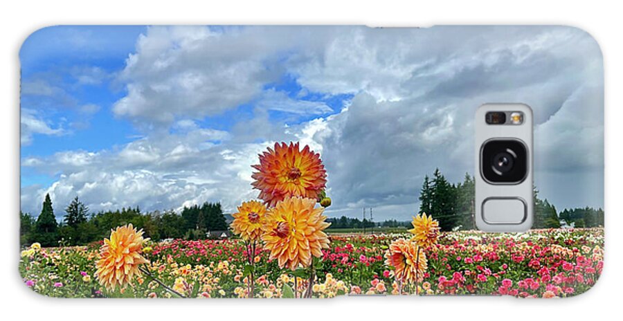 Dahlia Galaxy Case featuring the photograph Dahlias In The Sky by Brian Eberly