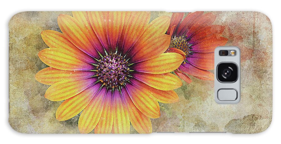 Daisy Galaxy Case featuring the photograph Daisies by Scott Norris