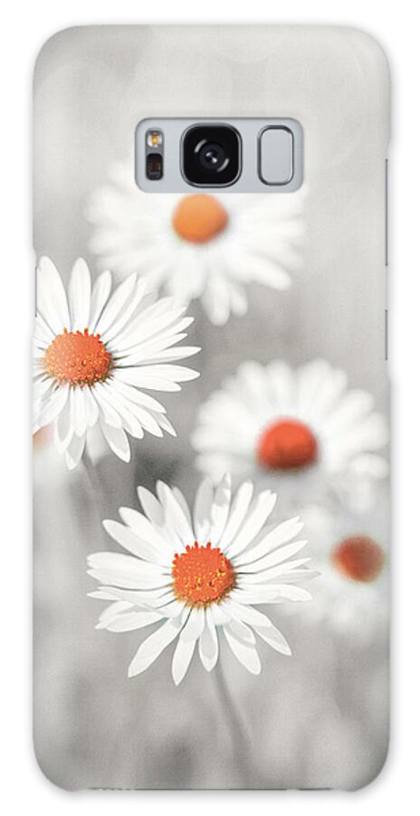 Daisy Galaxy Case featuring the photograph Daisy Cluster Selective Color by Carol Japp