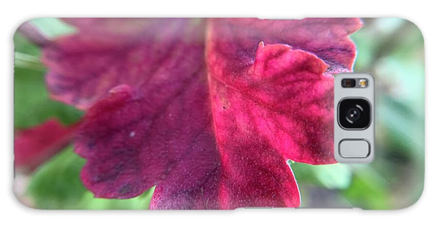 Daisy Leaf Galaxy Case featuring the photograph Daisy Red Leaf by Catherine Wilson