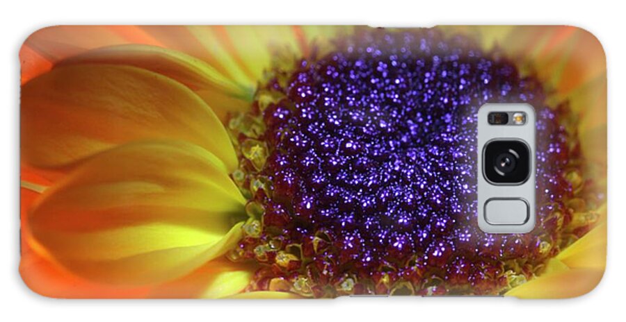 Daisy Galaxy Case featuring the photograph Daisy Yellow Orange by Julie Powell