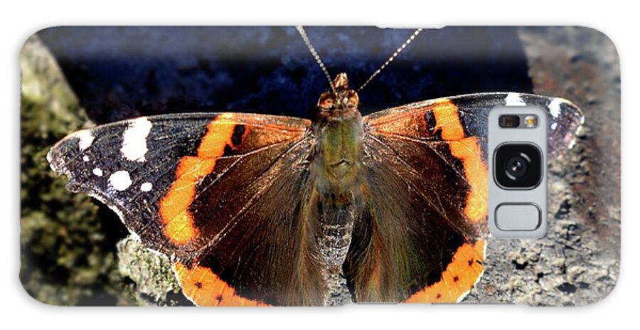 Nature Galaxy Case featuring the photograph Dance of Heavens Butterfly  by Leonida Arte