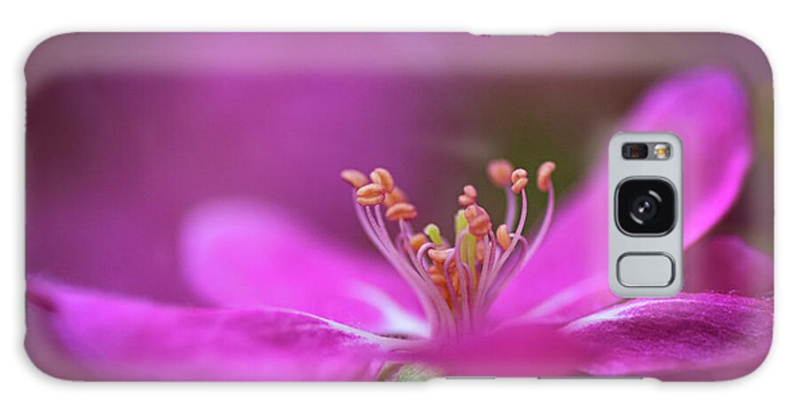 Pink Galaxy Case featuring the photograph Dancing In Pink by Pamela Dunn-Parrish