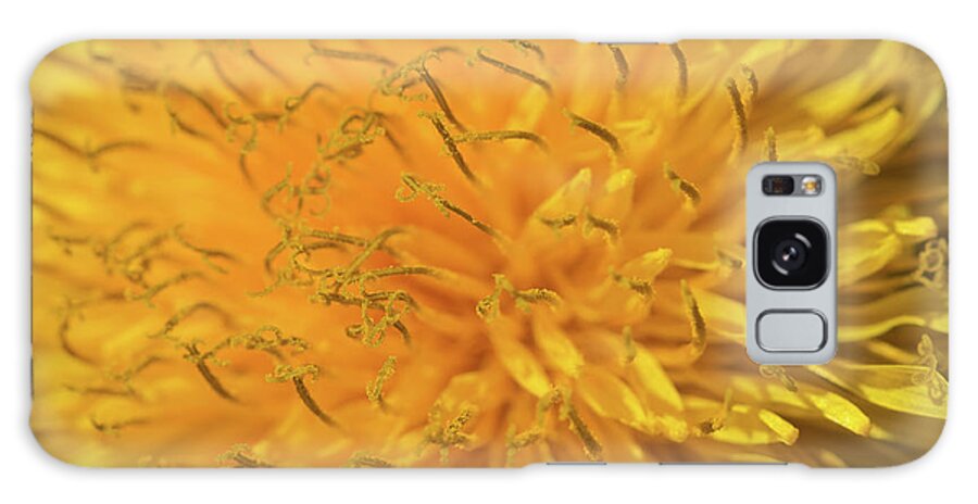 Flower Galaxy Case featuring the photograph Dandelion by David Beechum