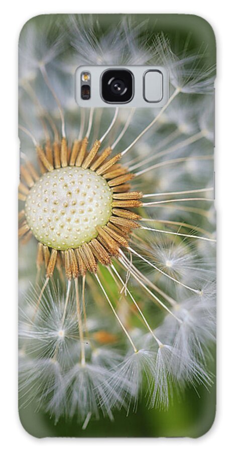 Dandelion Galaxy Case featuring the photograph Dandelion In Macro by Scott Burd