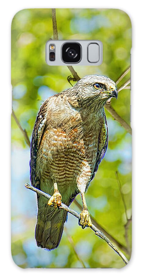 Birds Galaxy Case featuring the photograph Dangerous Outlook by Judy Kay