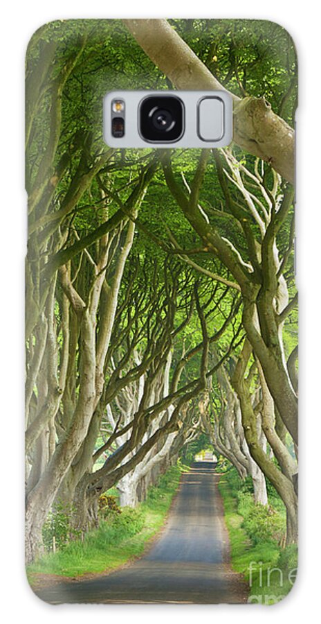 The Game Of Thrones Galaxy Case featuring the photograph Dark Hedges, County Antrim, Northern Ireland by Neale And Judith Clark