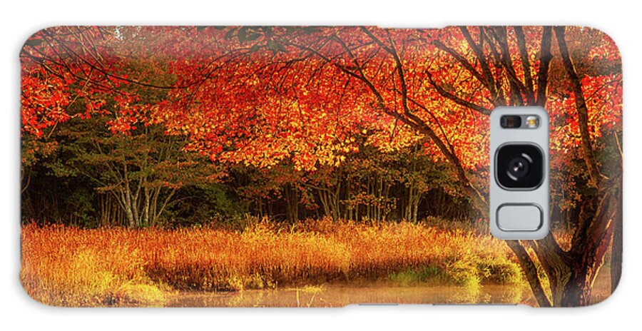 Rhode Island Fall Foliage Galaxy Case featuring the photograph Dawn lighting Rhode Island fall colors by Jeff Folger