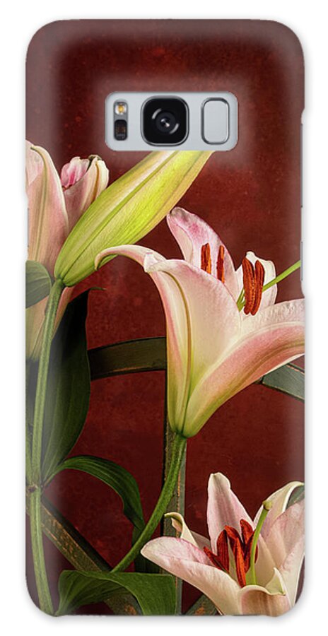 Daylily Galaxy Case featuring the photograph Daylilies Still Life by Tom Mc Nemar