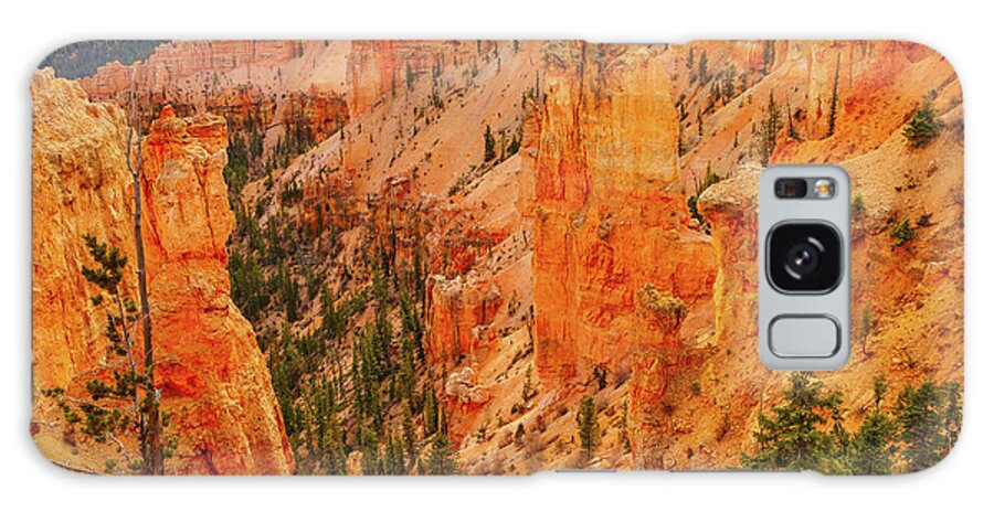 Bryce Canyon Galaxy Case featuring the photograph December 2022 Bryce Canyon Detail by Alain Zarinelli