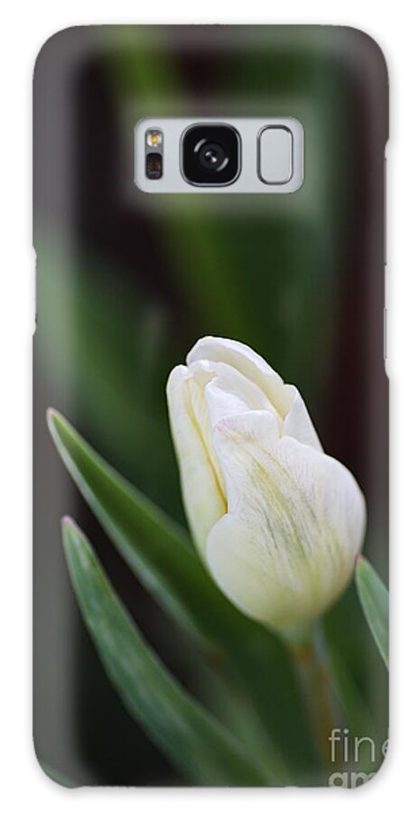 Tulip Galaxy Case featuring the photograph Delicate White Tulip Bud by Joy Watson